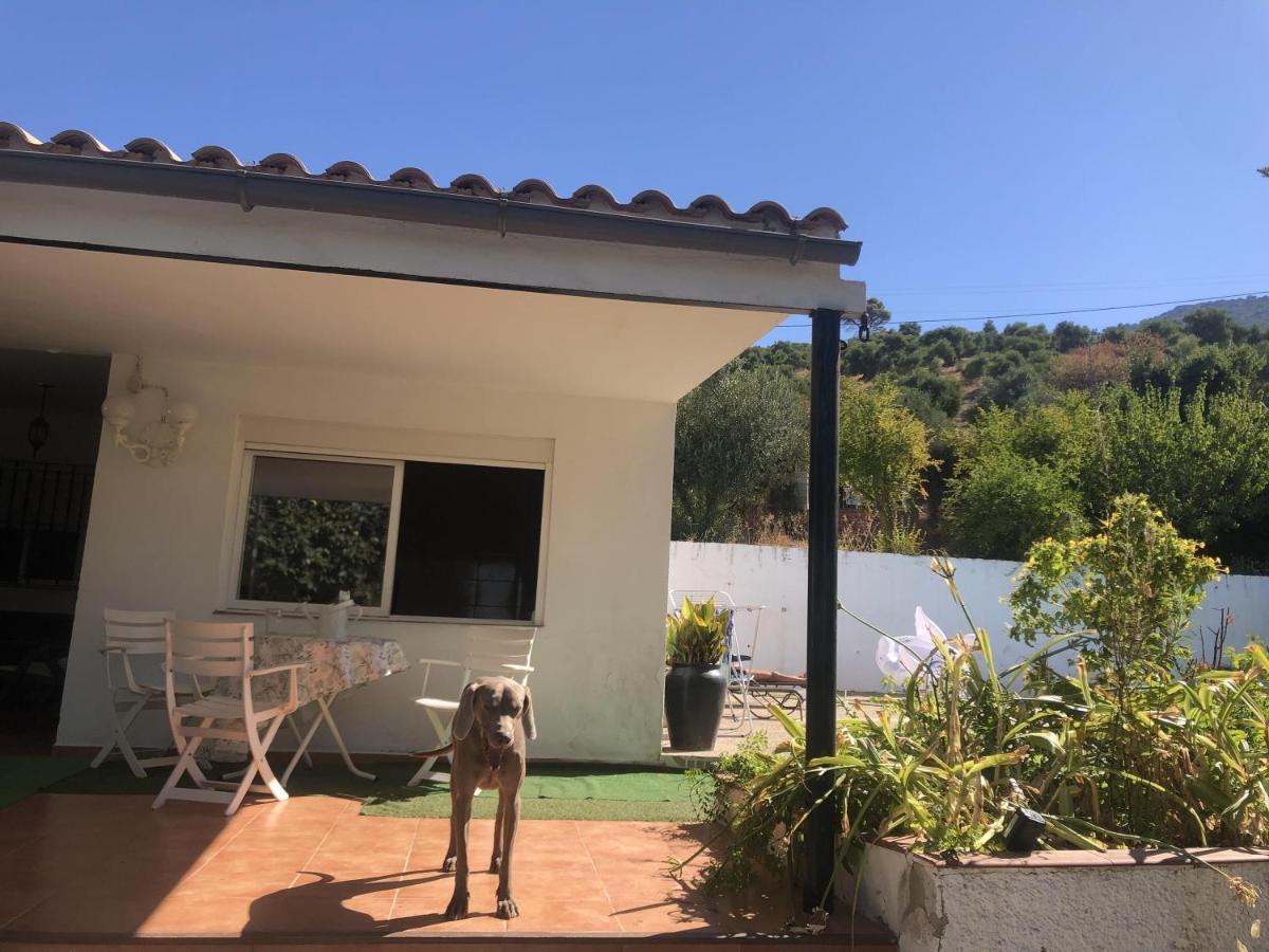 Villa Rosario El Bosque Eksteriør bilde